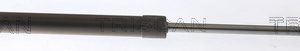 Amortizor portbagaj RENAULT MEGANE IV hatchback (B9A/M/N_) 1.2 TCe 100 (B9MS) benzina 100 cai TRISCAN 8710 25279