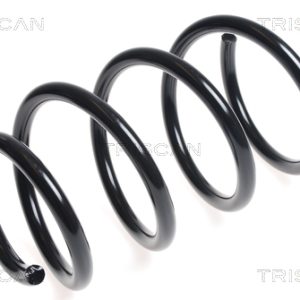 Arc spiral RENAULT MASTER III caroserie (FV) 2.3 dCi 145 FWD (FV0E, FV0F, FV0H, FV02, FV0M, FV0S,... diesel 146 cai TRISCAN 8750 25118