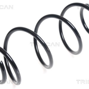 Arc spiral RENAULT CLIO III (BR0/1, CR0/1) 1.2 (BR01, BR03, BR0E, CR0E) benzina 78 cai TRISCAN 8750 25124