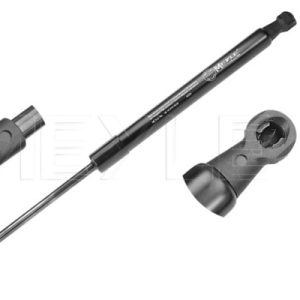 Amortizor portbagaj RENAULT TWINGO II (CN0_) 1.5 dCi (CN0U) diesel 84 cai MEYLE 16-14 910 0036