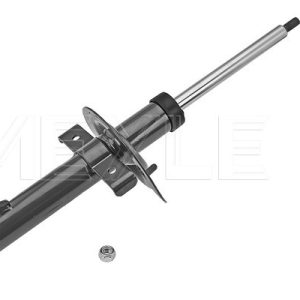 Amortizor RENAULT MEGANE II (BM0/1_, CM0/1_) 1.6 benzina 105 cai MEYLE 16-26 623 0029