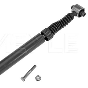 Amortizor RENAULT MEGANE II Coupe-Cabriolet (EM0/1_) 2.0 (EM0S) benzina 139 cai MEYLE 16-26 725 0013