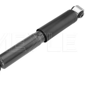 Amortizor RENAULT MASTER III caroserie (FV) 2.3 dCi 110 FWD (FV0R, FV0W, FV1A) diesel 110 cai MEYLE 16-26 725 0026
