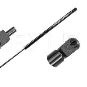 Amortizor portbagaj RENAULT SCENIC I microbus (JA0/1_, FA0_) 1.6 (JA00, JA16, JA15, JA19, JA1V, JA2B, JA2C, JA0B,... benzina 107 cai MEYLE 16-40 910 0000