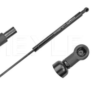 Amortizor portbagaj RENAULT CLIO III (BR0/1, CR0/1) 1.2 16V Hi-Flex (BR1U, CR1U) Benzina/Autogaz (GPL) 75 cai MEYLE 16-40 910 0026