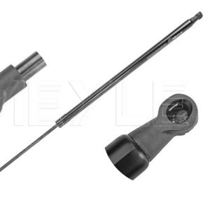 Amortizor portbagaj RENAULT GRAND SCENIC III (JZ0/1_) 1.6 16V (JZ0U) benzina 109 cai MEYLE 16-40 910 0034