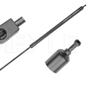 Amortizor capota RENAULT MEGANE CC (EZ0/1_) 2.0 dCi (EZ0L) diesel 160 cai MEYLE 16-40 910 0035