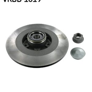 Disc frana SKF VKBD 1019