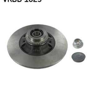 Disc frana SKF VKBD 1025