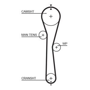 Curea de distributie GATES 5577XS – RENAULT | AutoRival