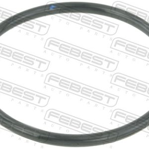 Etansare carcasa clapeta FEBEST RINGAH-010 – RENAULT | AutoRival