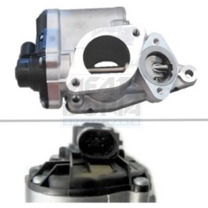 Carcasa clapeta MEAT DORIA 88112 – RENAULT | AutoRival