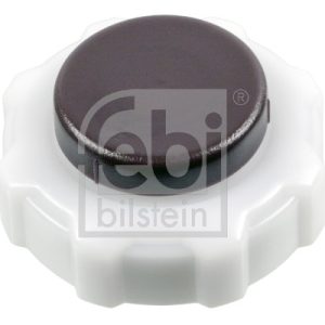 Buson vas expansiune FEBI BILSTEIN 185504 – RENAULT | AutoRival
