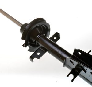 Amortizor DENCKERMANN DSB032G