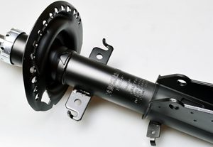Amortizor DENCKERMANN DSB249G