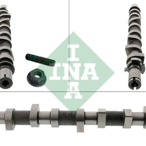 Ax cu came INA 428 0252 10 – RENAULT | AutoRival