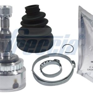 Ax cu came FRECCIA CM05-2366 – RENAULT | AutoRival