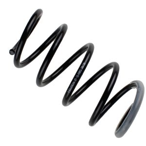 Arc spiral BILSTEIN 37-314903 – RENAULT | AutoRival