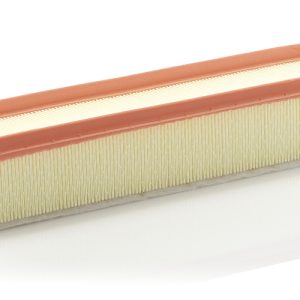 Filtru aer MANN-FILTER C 3875/1 – RENAULT | AutoRival