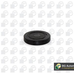 Dop gaura de montaj ax culbutori BGA PL4601 – RENAULT | AutoRival