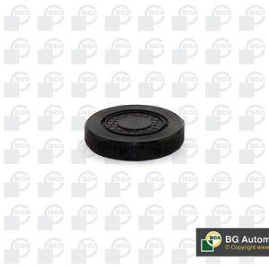 Dop gaura de montaj ax culbutori BGA PL4602 – RENAULT | AutoRival