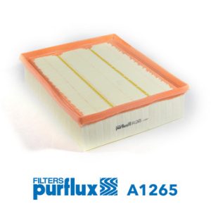 Filtru aer PURFLUX A1265 – RENAULT | AutoRival