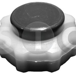 Buson vas expansiune STC T403514 – RENAULT | AutoRival