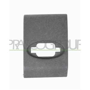 Elemente decorative / protectie portiera PRASCO OP9541425 – RENAULT | AutoRival