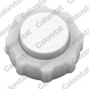 Buson vas expansiune CALORSTAT BY VERNET RC0013 – RENAULT | AutoRival