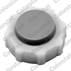 Buson vas expansiune CALORSTAT BY VERNET RC0018 – RENAULT | AutoRival
