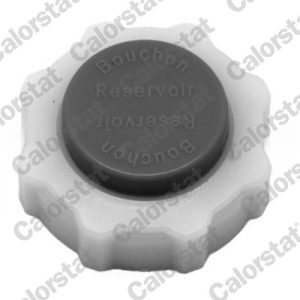 Buson vas expansiune CALORSTAT BY VERNET RC0030 – RENAULT | AutoRival