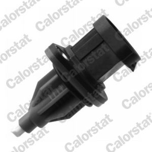 Comutator lampa marsalier CALORSTAT BY VERNET RS5598 – RENAULT | AutoRival