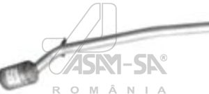 Catalizator ASAM AUTOMOTIVE 01343 – RENAULT | AutoRival