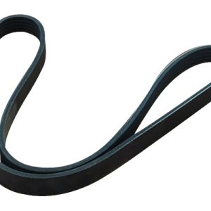 Curea transmisie cu caneluri ASAM AUTOMOTIVE 30692 – RENAULT | AutoRival