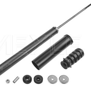 Amortizor MEYLE 16-26 725 0019 – RENAULT | AutoRival
