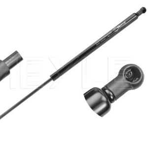 Amortizor portbagaj MEYLE 16-40 910 0031 – RENAULT | AutoRival