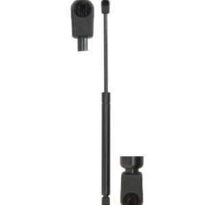 Amortizor portbagaj RINGER 1510053741 – RENAULT | AutoRival