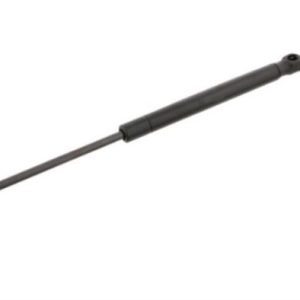 Amortizor portbagaj RINGER 1510053759 – RENAULT | AutoRival