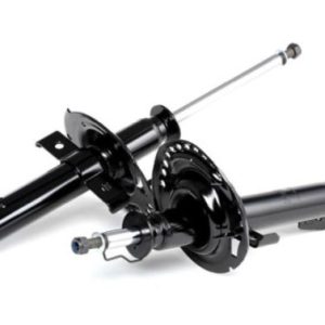 Amortizor RINGER 1542002250 – RENAULT | AutoRival