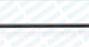 Bieleta antiruliu REINWEG RW71666 – RENAULT | AutoRival
