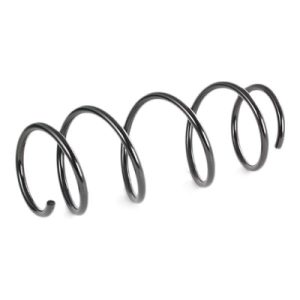 Arc spiral MTR 12108728 – RENAULT | AutoRival