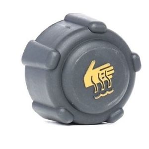 Buson vas expansiune MTR 12176123 – RENAULT | AutoRival