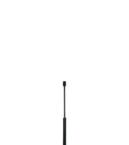 Amortizor portbagaj QWP WGS120 – RENAULT | AutoRival