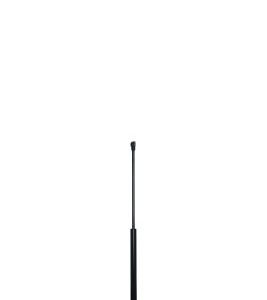 Amortizor portbagaj QWP WGS489 – RENAULT | AutoRival