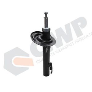 Amortizor QWP WSA317 – RENAULT | AutoRival