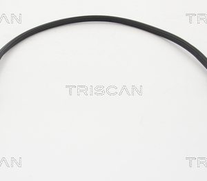 Cablu acceleratie TRISCAN 8140 25343 – RENAULT | AutoRival