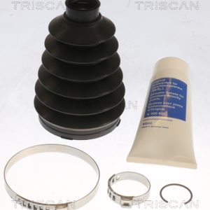 Ansamblu burduf articulatie planetara TRISCAN 8540 25832 – RENAULT | AutoRival