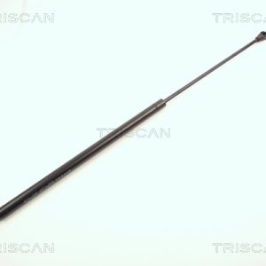 Amortizor portbagaj TRISCAN 8710 2504 – RENAULT | AutoRival