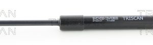 Amortizor capota TRISCAN 8710 25107 – RENAULT | AutoRival