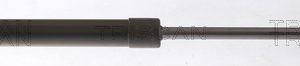 Amortizor capota TRISCAN 8710 25114 – RENAULT | AutoRival